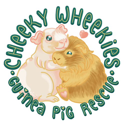 Cheeky Wheekies logo