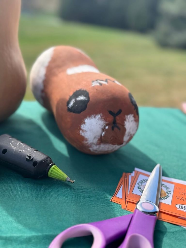 Guinea pig arts and crafts