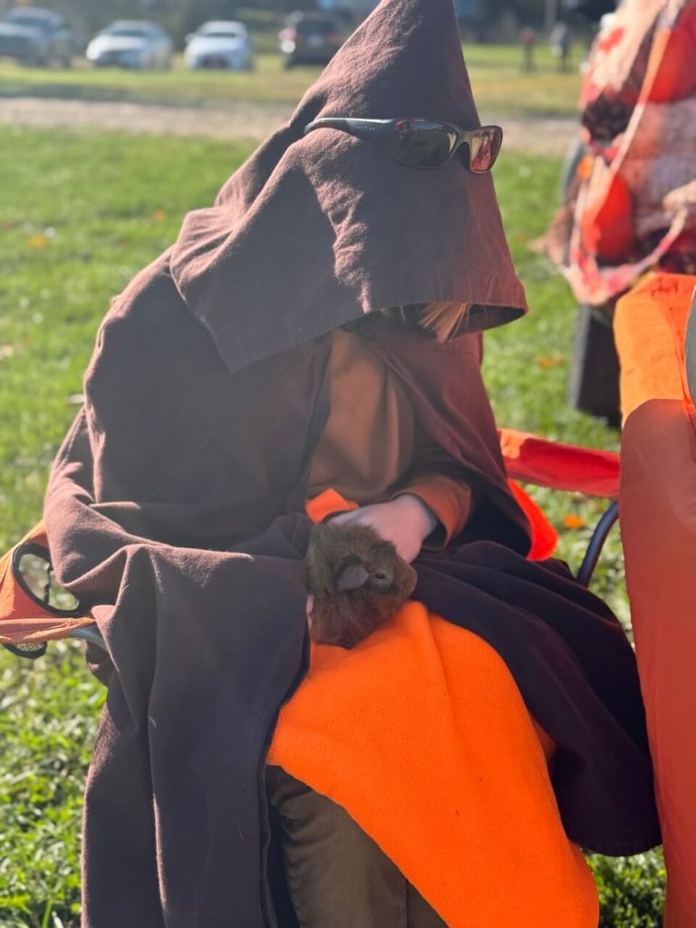 Girl petting a guinea pig
