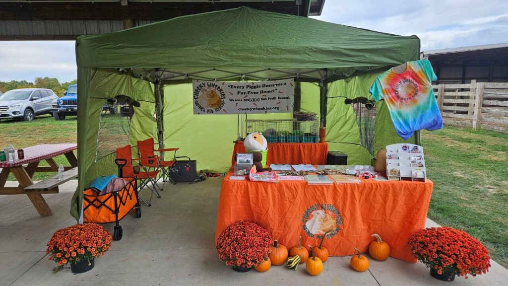 Cheeky Wheekies booth