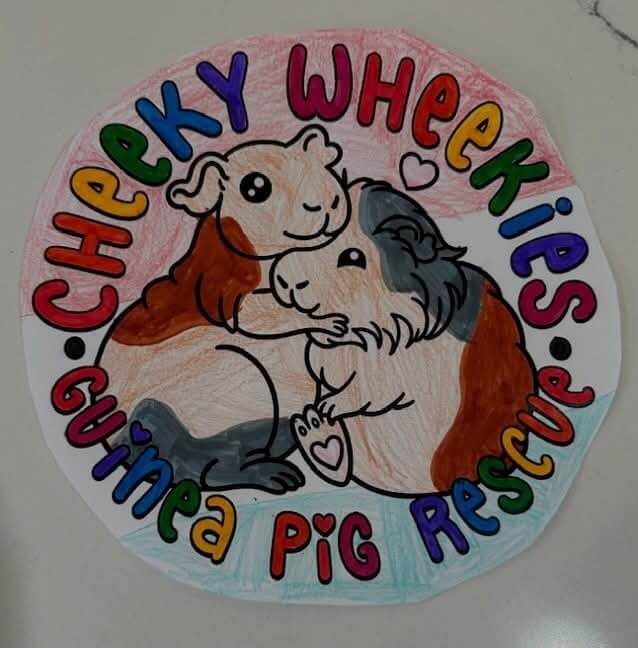 logo for cheeky wheekies